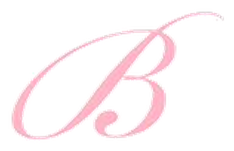 Brazilian Blueprint luxury waxing salon Rhode Island